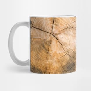 Wooden Tree Circle Texture Mug